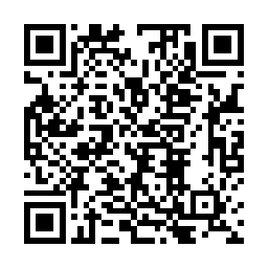 第二发子弹以巴克选择稍低十厘米的位置再次击穿布帐二维码生成