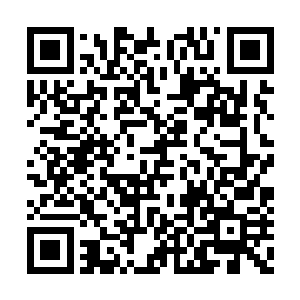 第二台被烈焰烧灼的恐怖机器人却没有完全报废二维码生成