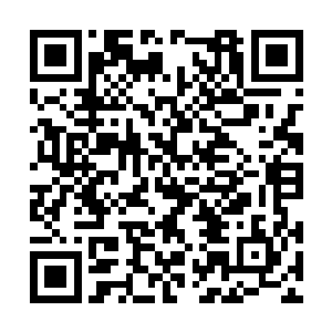 第二场比赛就是许紫烟和星域宗那个人尊期大修士二维码生成