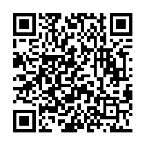 第二大厅是石像鬼军团和深海女妖的混合杂牌军二维码生成