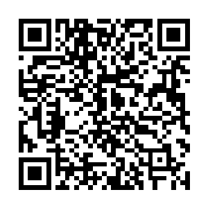 第二天和江涵菡会合之后一起去了江城建办公的地方二维码生成