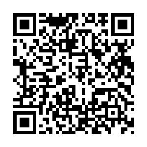 第二天我给这一行五人送上了直飞洛杉矶的航班二维码生成