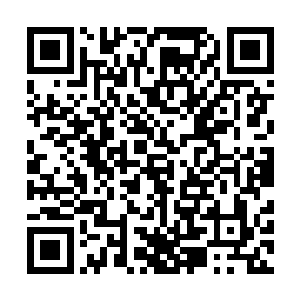 第二天整个微·博话题榜也都成功被这两个节目强势占据二维码生成