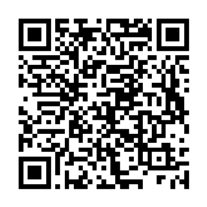 第二天林光山整理好个人卫生有开始奋斗搞视频了二维码生成