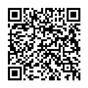 第二届首都青少年最喜爱的网络文学作品投票评选大赛二维码生成