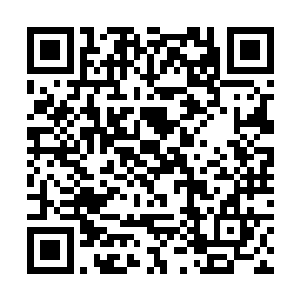第二日一早刘萱带着秋菊冬梅二人出发前往东郊別苑二维码生成