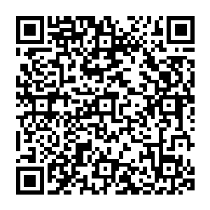 第二次与王海岩见面则是以一个园林设计师的身份出现在孟凡义建造庄园的奠基仪式上二维码生成
