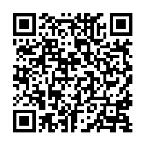 第二环第3段区的其中一个传送位位于一个沼泽地之中二维码生成