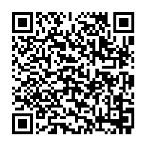 第二阶梯是阮刑天在游戏中已经被他激活记忆并且选择归顺他的有着高职位的NPC二维码生成