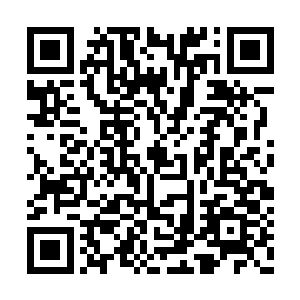 第二阶段是每一域同样是挑选出前十的参赛选手二维码生成