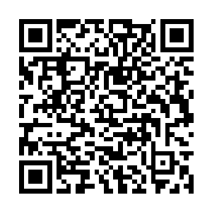 第五十二届金球奖当初被圣丹斯电影节抢走了风头二维码生成