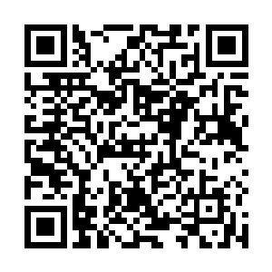 第五甲对两位长老的高风亮节表示了崇高的敬意和谢意二维码生成