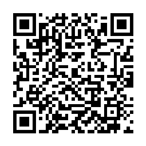 第八镇是南方唯一可以与北洋诸镇正面叫板的建制镇二维码生成