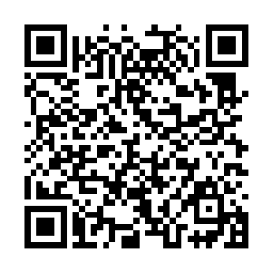 第十六重天里产生了大量因为情绪生出的特殊生命二维码生成