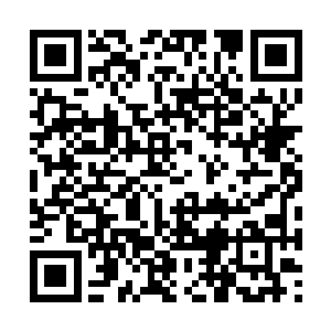 第四个点往上回到了岳兰以西贡为圆心的南部地区二维码生成