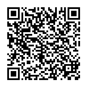 第四件事情就是望仙城将会在今后的日子里不断地举办一些拍卖会二维码生成