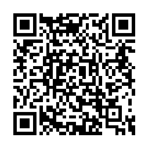 第四境界和第三境界之间实力的差距还是不小的二维码生成