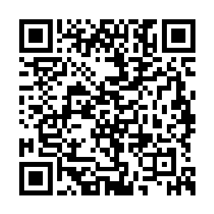 第四师以及骑兵第一师暂时交由蔡松坡统一指挥二维码生成