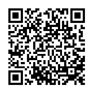 第纳尔发明了一种可以用沙棘树的枝叶制造高级纸张的办法二维码生成
