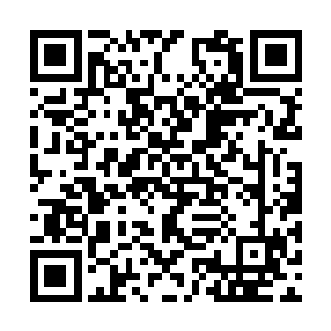 笼子外面有四五十个治安队的人手拿光弩对准了他二维码生成