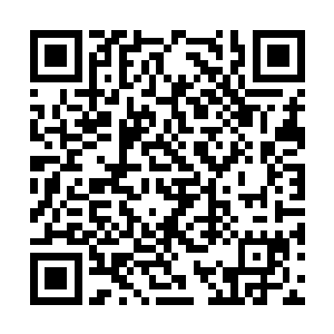 笼罩在天机派上空的巨大的天穹发出了一声轰鸣声二维码生成