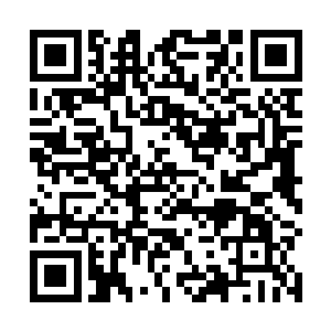 笼罩在巨树外围的碧绿光芒似乎也具有神奇的净化作用二维码生成