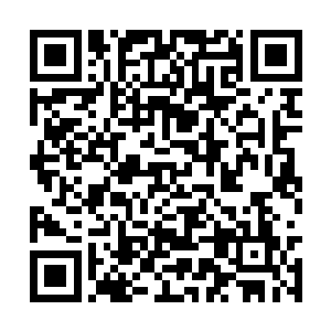 笼罩在每个人身上的那股温暖的力量慢慢消褪之后二维码生成