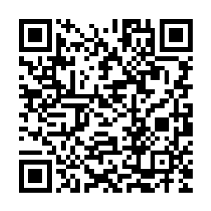 笼罩在长剑周围那些此起彼伏的漩涡气劲一起和光罩撞在了一起二维码生成