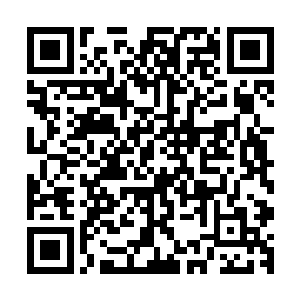 等一会那些人来了之后我还要和你好好的论论军律和大宋典制二维码生成