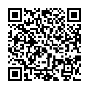 等一本本介绍大陆历史等常识的书本映入到赵虎的视野当中二维码生成