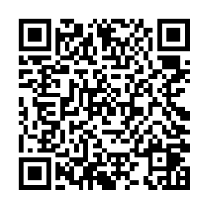 等于仙桃村村民种植水蜜桃的收益也足足翻了三倍啊二维码生成