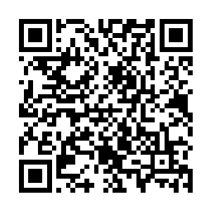 等于保证了贪狼在低血量时能得到一次起死回生的机会二维码生成