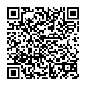 等他们从惊呼中清醒过来便是发现天尊已经是被这火焰给包裹住了二维码生成