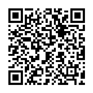 等他们以后懂事后回头来看自然知道这时候的想法有多不成熟二维码生成