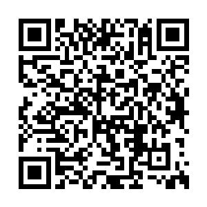 等他们修炼到一定境界或者对门派做出大的贡献二维码生成