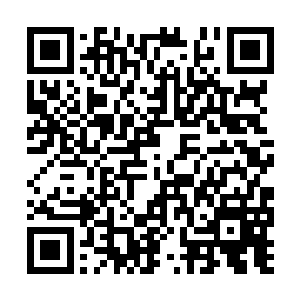 等他们完全熟悉了九原的各项规则和贡献点制度后二维码生成