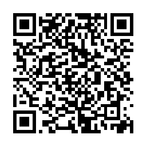 等他们看到我和唐晓柔两个人从绿化林当中站起来二维码生成