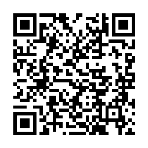 等他意会过来秦岚就是市局大名鼎鼎的秦副局长时二维码生成