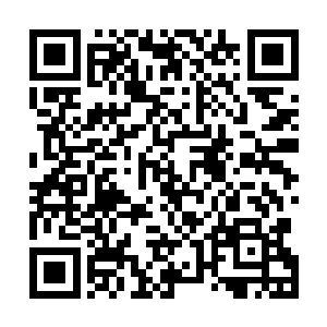 等他意料到弟弟真是在给他做投资时已是很久以后的事了二维码生成