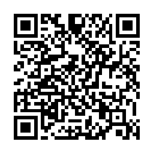 等以后我们可以完全依靠种植和养殖获得我们平常的食物二维码生成