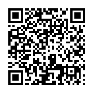 等会儿会不会有老头过来摔一跤让自己扶啊什么的二维码生成