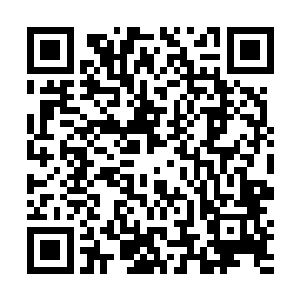 等会儿打着奎帕名义的那几只贪心豺狗肯定还会来扫荡二维码生成