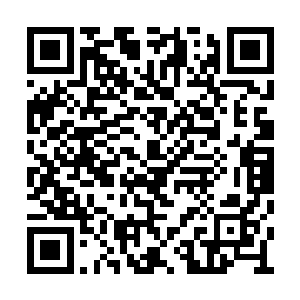 等作品之中有上佳演出的弗兰西斯一麦克多蒙德二维码生成