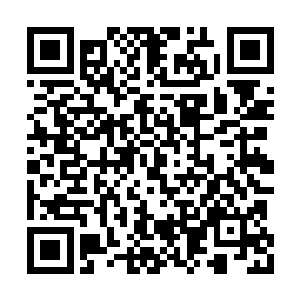 等你也能写出一本书来并能给我某种人生启迪时二维码生成