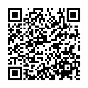 等你们办结婚酒宴的时候随便你们两人自己拿主意二维码生成