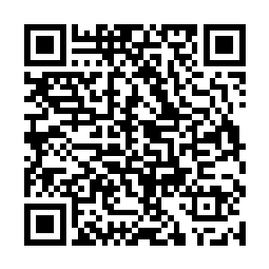 等你们回去享受花天酒地的生活很快就会改变想法的二维码生成