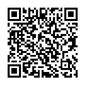 等你们实力提升上去后再穿梭星空前往朱雀神界便是二维码生成