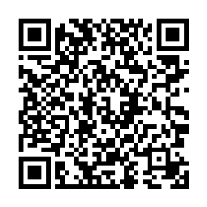 等你们家二毛三毛生狗崽的时候别忘了给我弄上一条公犬二维码生成