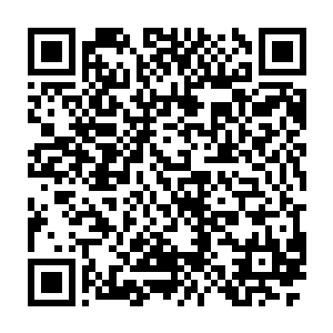 等你们的修为提升到大罗金仙后期巅峰的时候再服食这颗普通圣果二维码生成