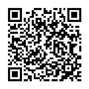 等你们蓝名家族的大小姐成了我们大当家的压寨夫人二维码生成